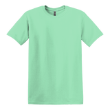 B2473M Softstyle T-Shirt